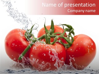 Fresco Purezza Bolla PowerPoint Template