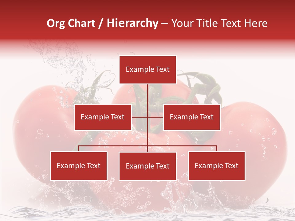 Fresco Purezza Bolla PowerPoint Template