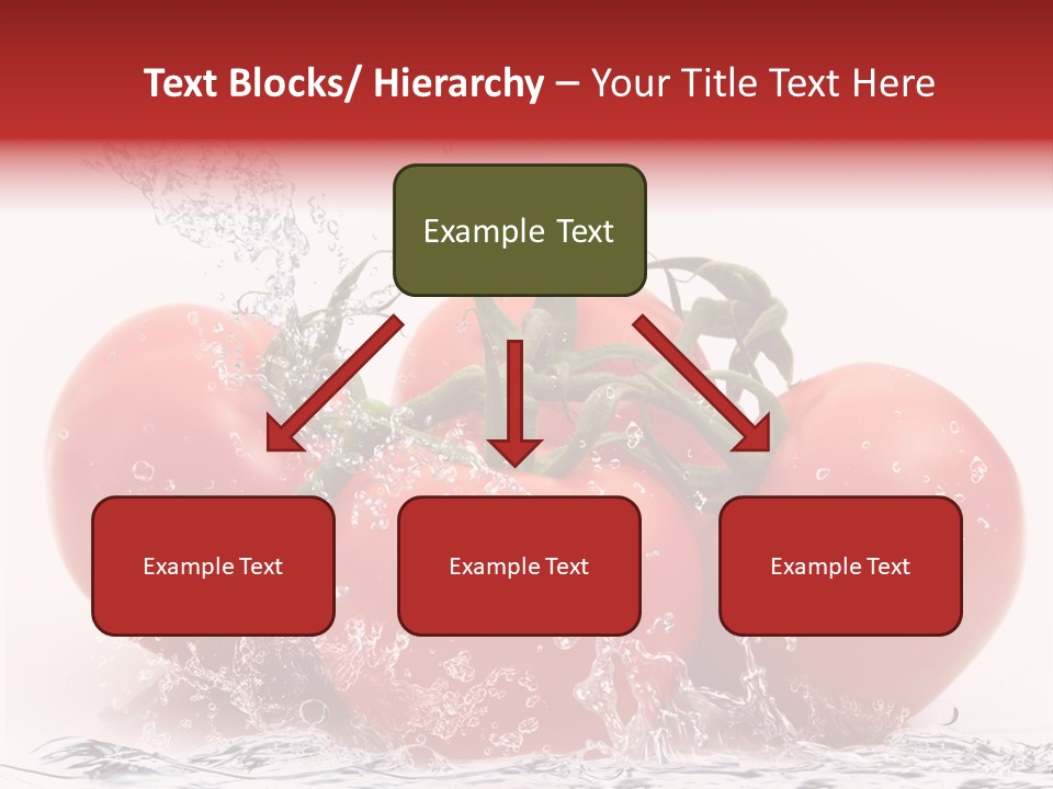 Fresco Purezza Bolla PowerPoint Template