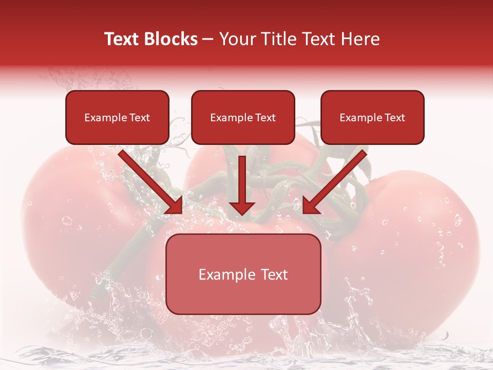Fresco Purezza Bolla PowerPoint Template