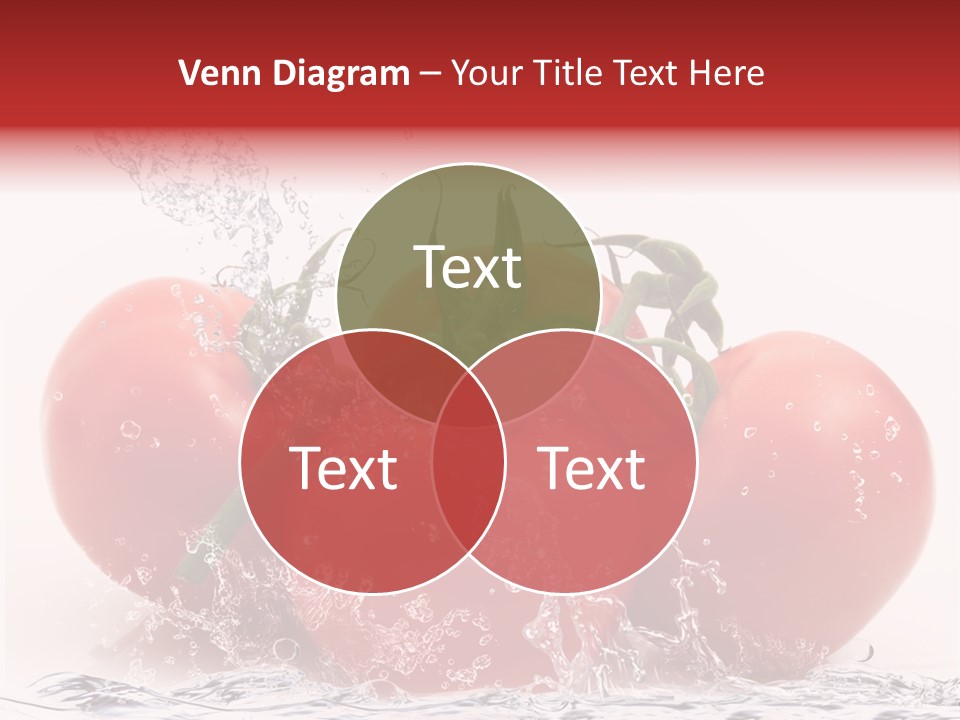 Fresco Purezza Bolla PowerPoint Template