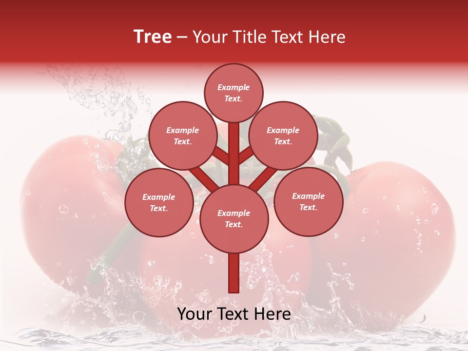 Fresco Purezza Bolla PowerPoint Template