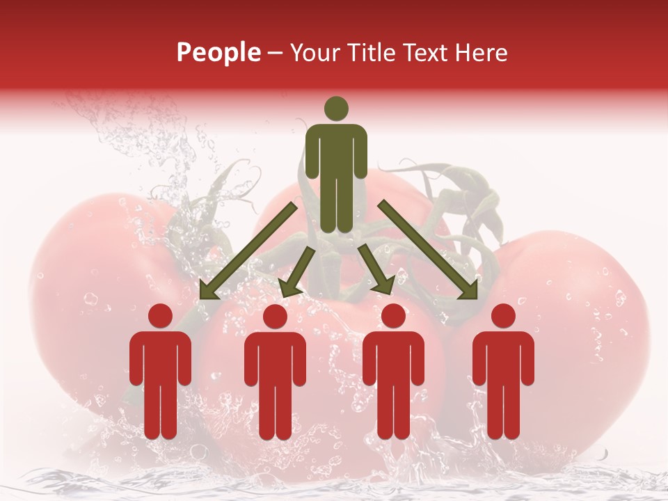 Fresco Purezza Bolla PowerPoint Template