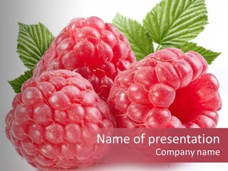 Raspberries Berry Vegetarian PowerPoint Template