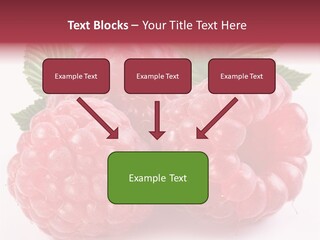 Raspberries Berry Vegetarian PowerPoint Template