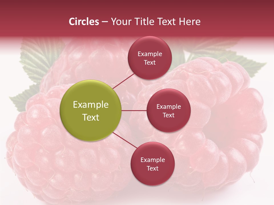 Raspberries Berry Vegetarian PowerPoint Template