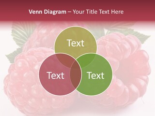 Raspberries Berry Vegetarian PowerPoint Template
