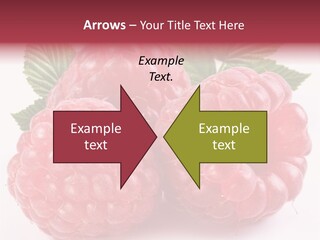 Raspberries Berry Vegetarian PowerPoint Template