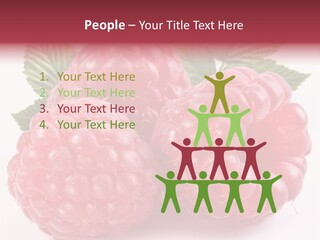 Raspberries Berry Vegetarian PowerPoint Template