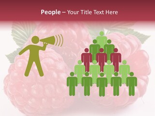 Raspberries Berry Vegetarian PowerPoint Template