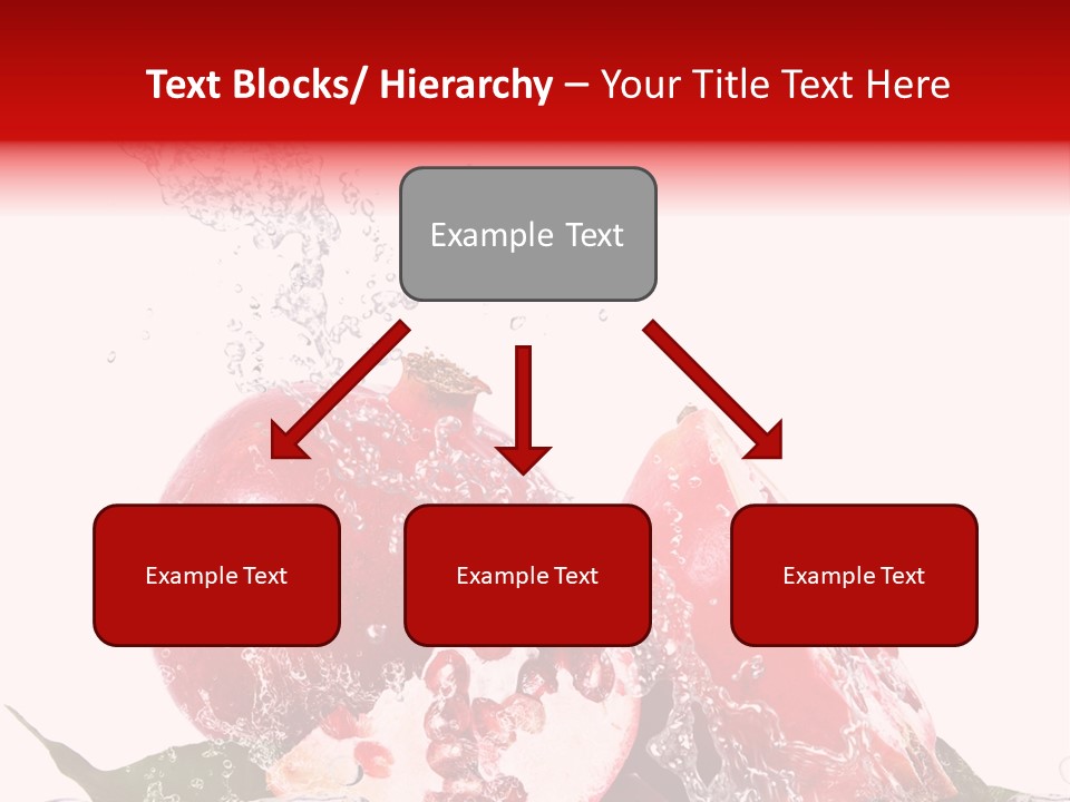 Biologica Isolato Closeup PowerPoint Template