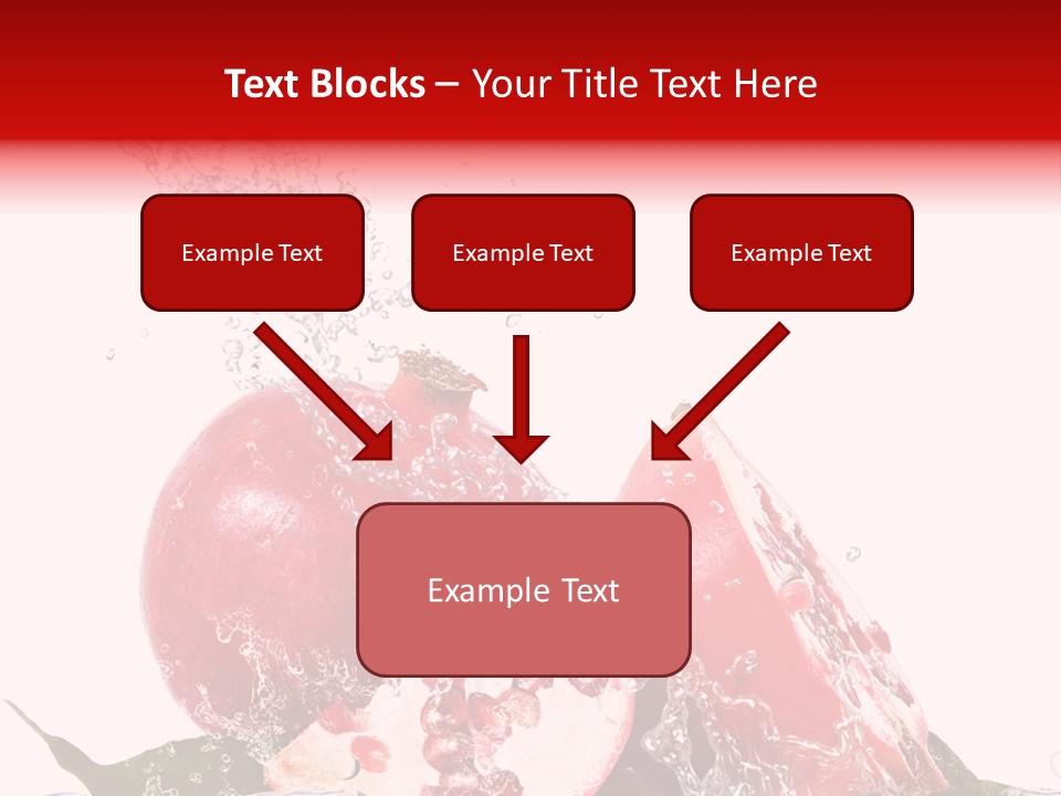 Biologica Isolato Closeup PowerPoint Template