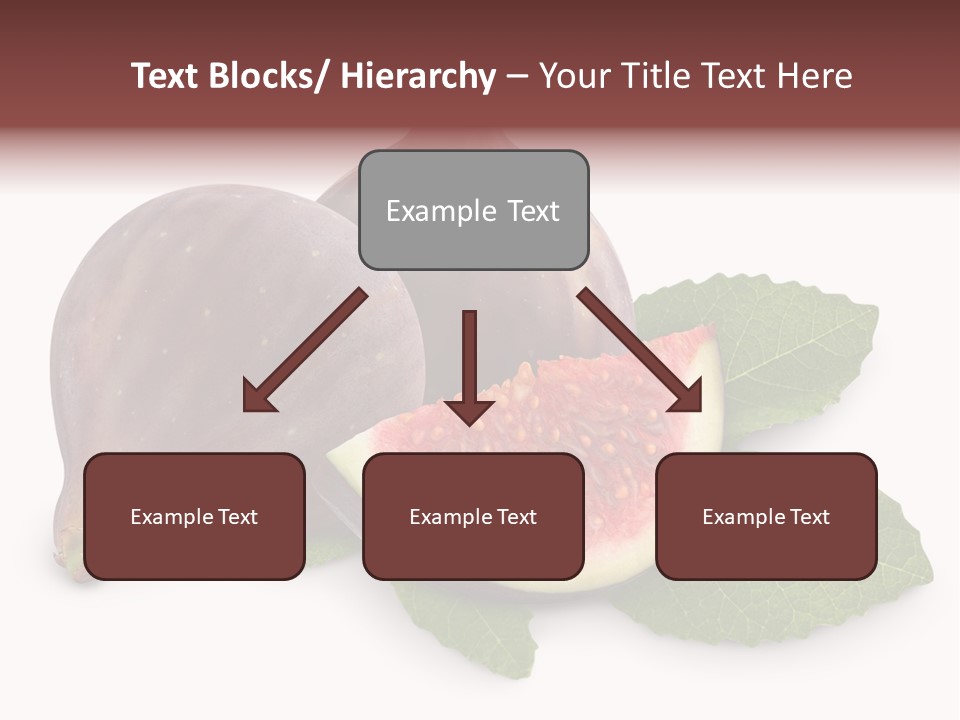 Closeup Group Cross Section PowerPoint Template