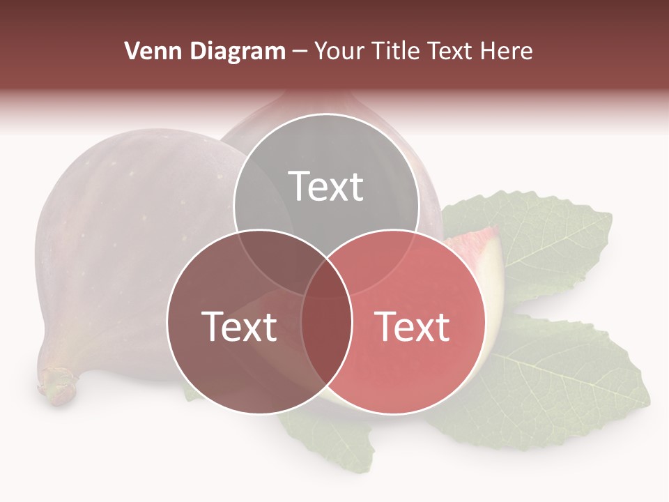 Closeup Group Cross Section PowerPoint Template
