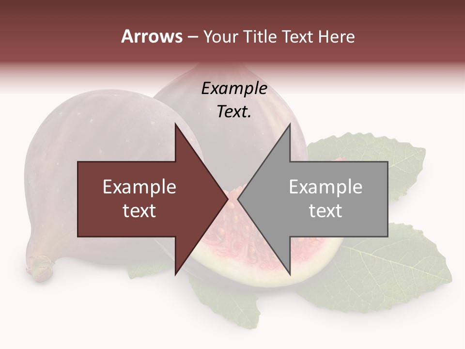 Closeup Group Cross Section PowerPoint Template