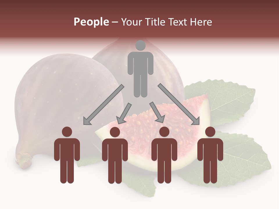 Closeup Group Cross Section PowerPoint Template