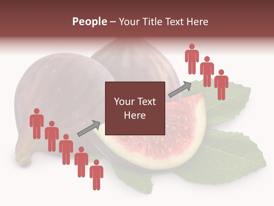 Closeup Group Cross Section PowerPoint Template