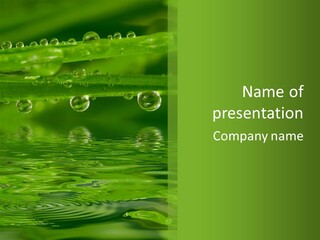 Bubble Wet Environmental PowerPoint Template