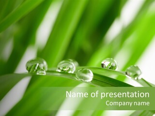 Harmony Environment Small PowerPoint Template