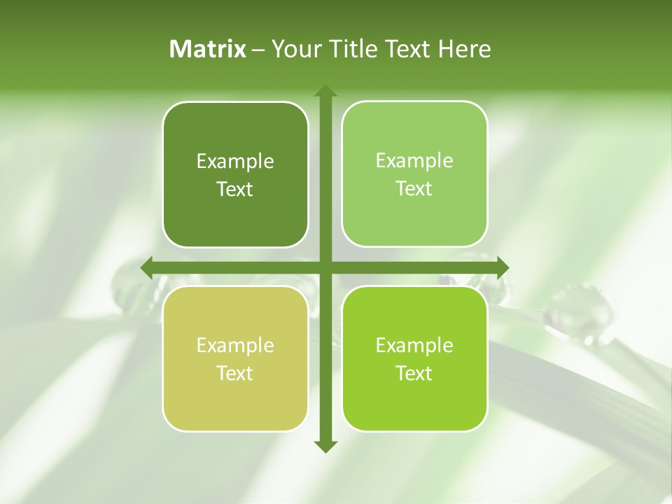 Harmony Environment Small PowerPoint Template