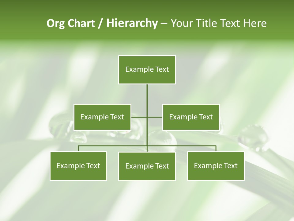 Harmony Environment Small PowerPoint Template