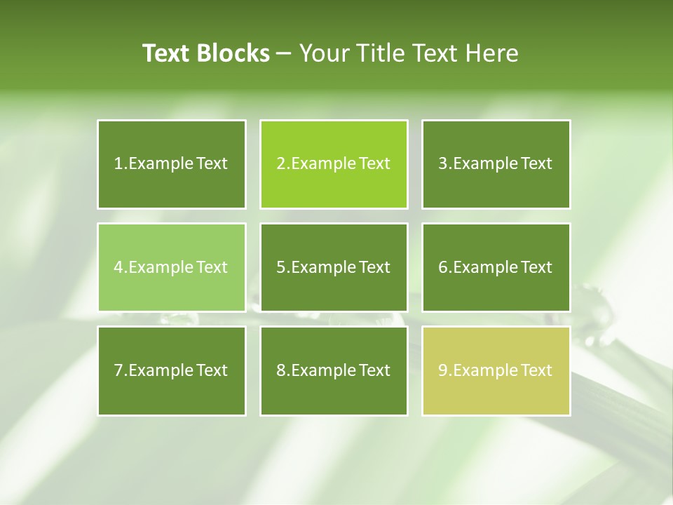 Harmony Environment Small PowerPoint Template