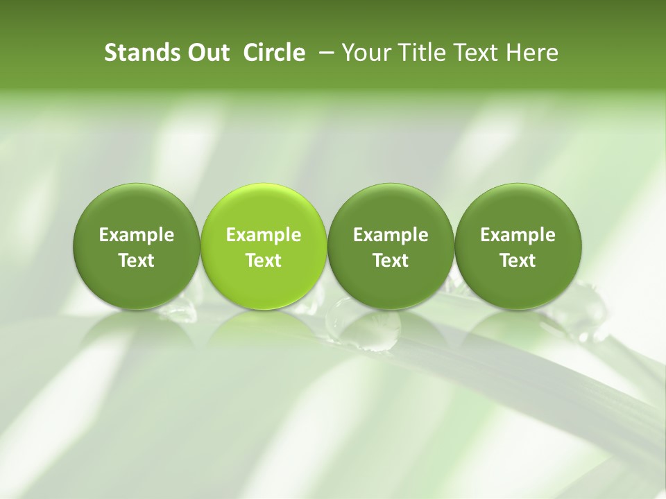 Harmony Environment Small PowerPoint Template