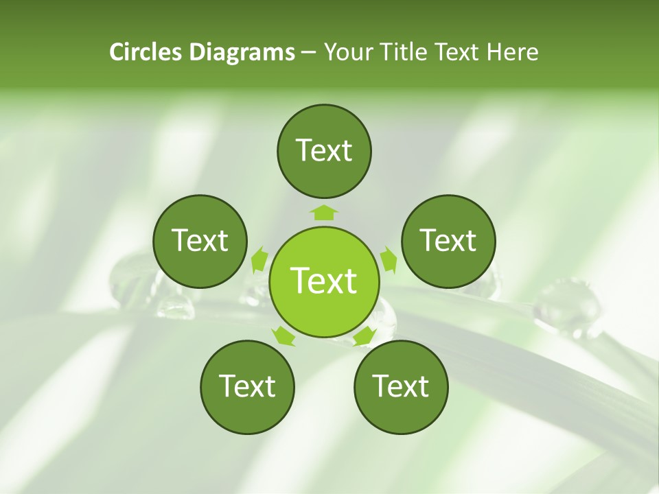 Harmony Environment Small PowerPoint Template