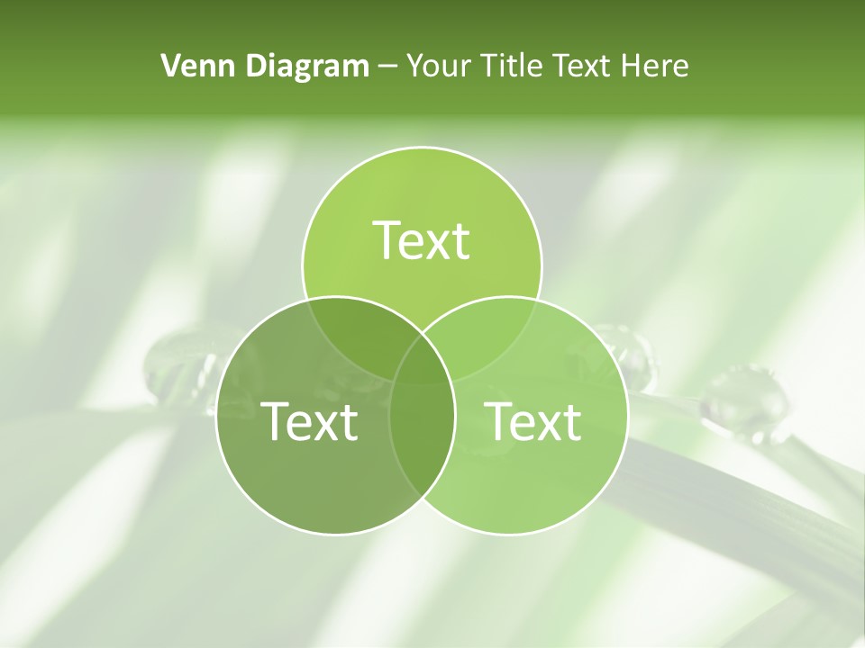 Harmony Environment Small PowerPoint Template