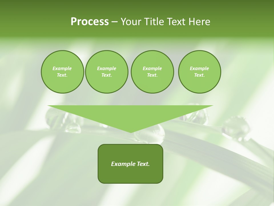 Harmony Environment Small PowerPoint Template