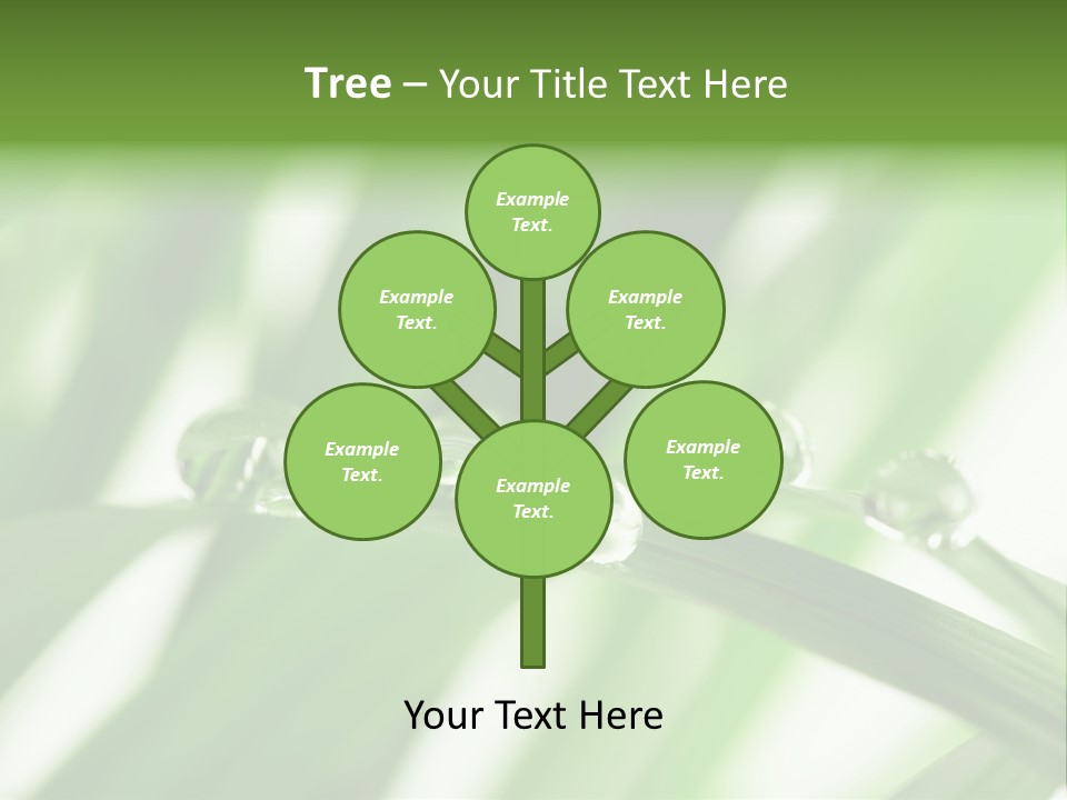 Harmony Environment Small PowerPoint Template