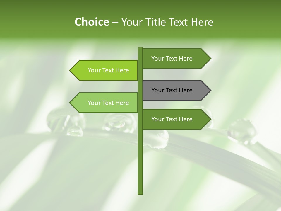 Harmony Environment Small PowerPoint Template