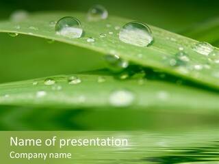 Lawn Droplet Sun PowerPoint Template