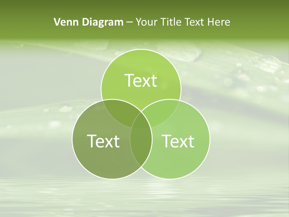 Lawn Droplet Sun PowerPoint Template