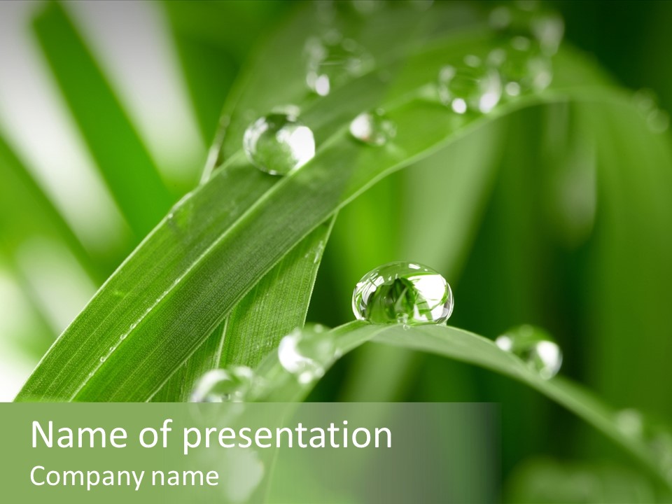 Summer Sphere Freshness PowerPoint Template