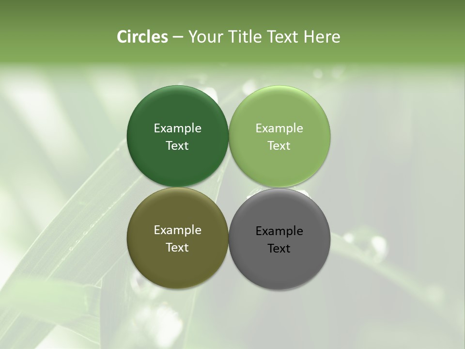 Summer Sphere Freshness PowerPoint Template