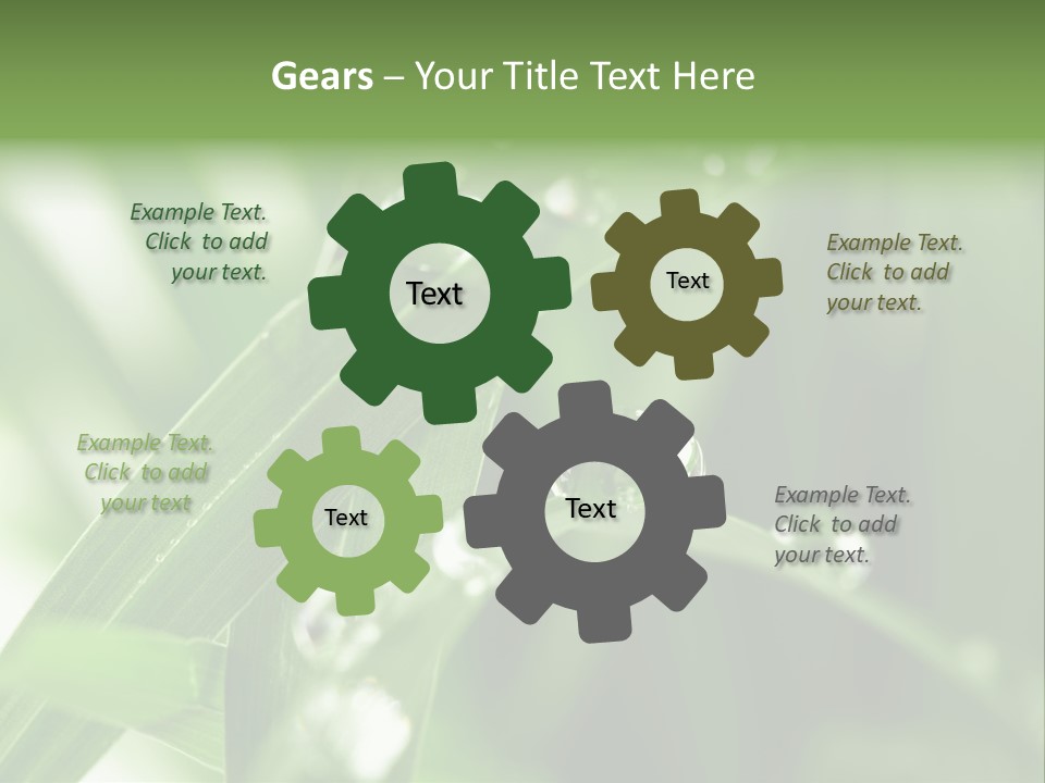 Summer Sphere Freshness PowerPoint Template