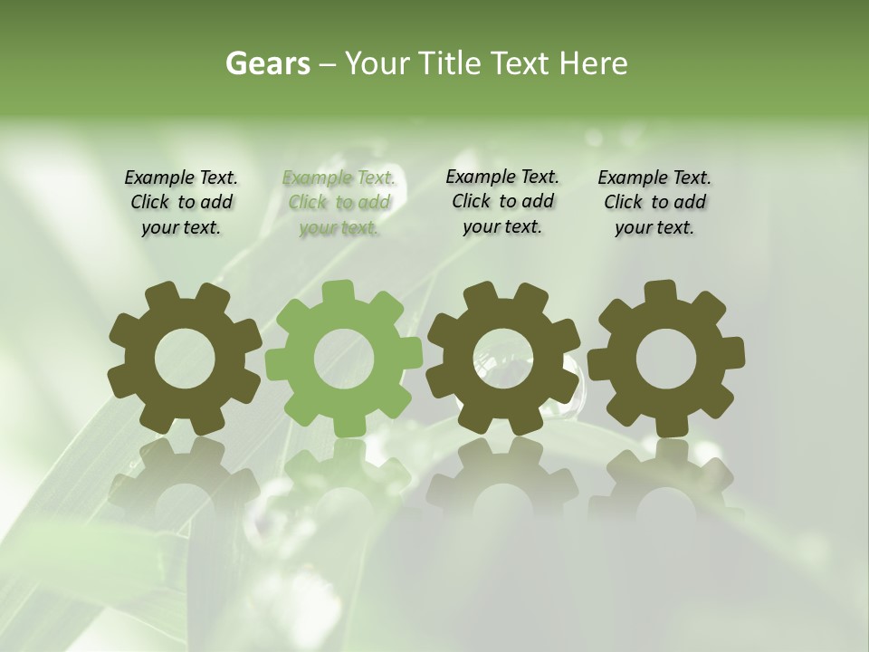 Summer Sphere Freshness PowerPoint Template