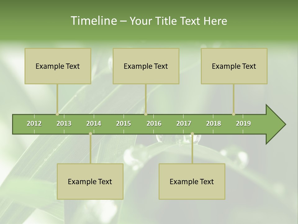 Summer Sphere Freshness PowerPoint Template