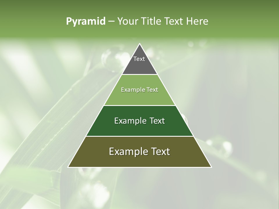 Summer Sphere Freshness PowerPoint Template