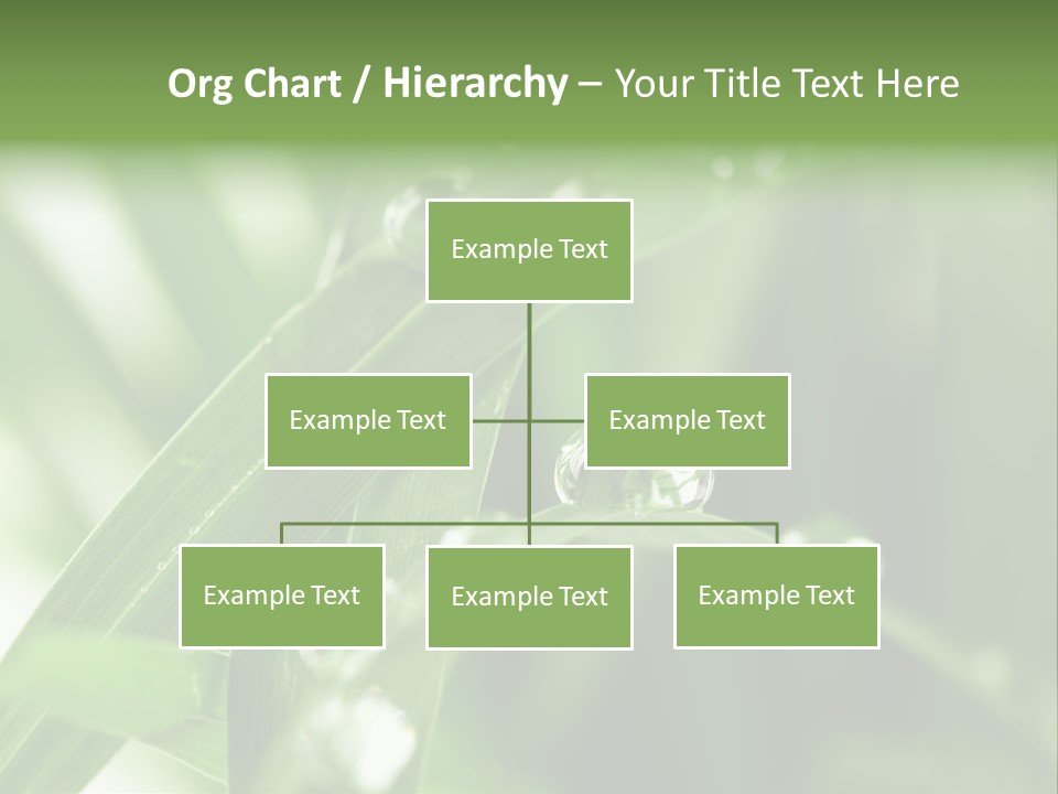 Summer Sphere Freshness PowerPoint Template