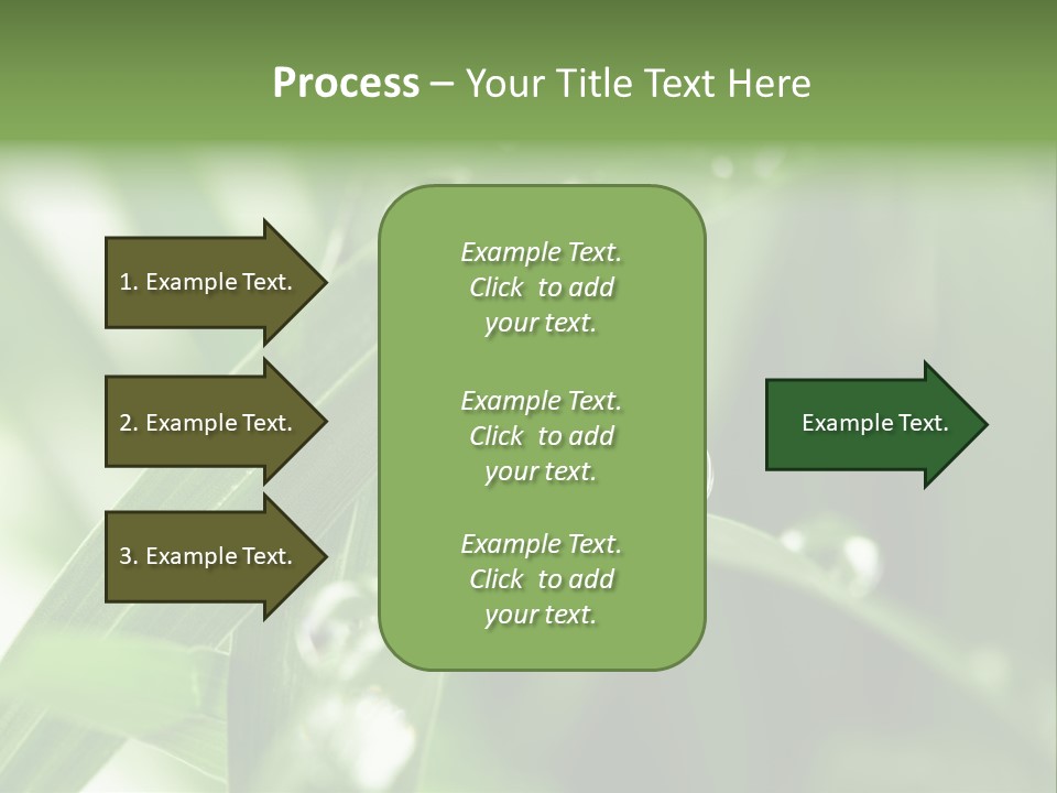 Summer Sphere Freshness PowerPoint Template