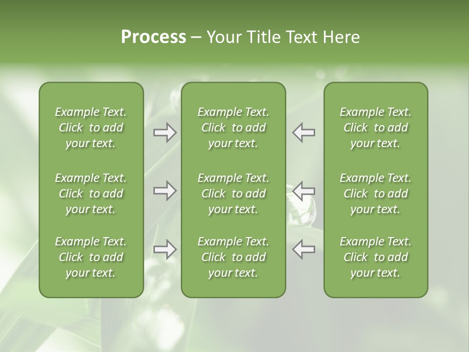 Summer Sphere Freshness PowerPoint Template