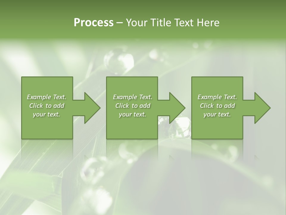 Summer Sphere Freshness PowerPoint Template