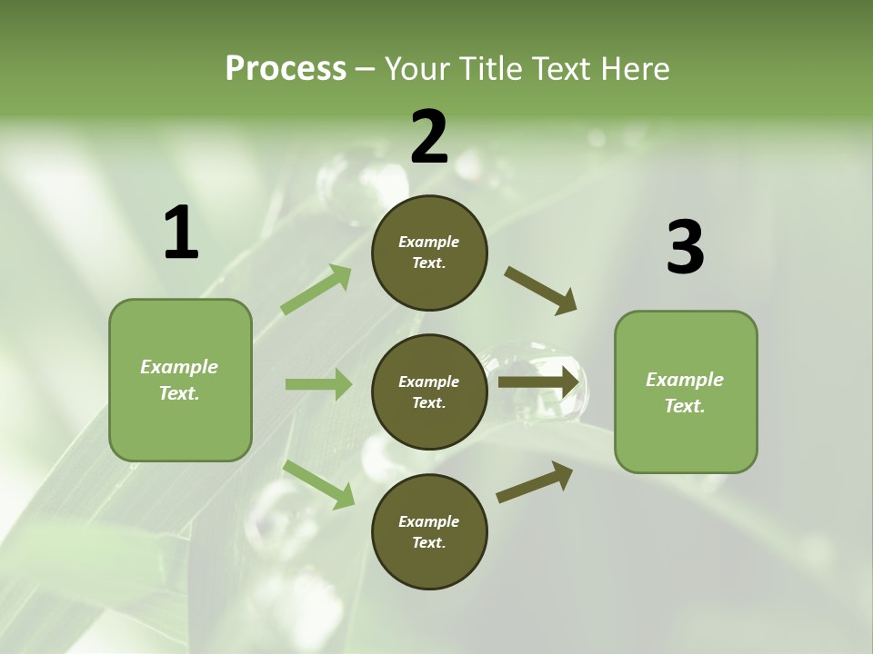 Summer Sphere Freshness PowerPoint Template