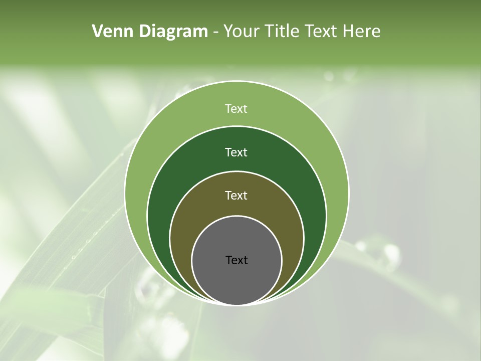 Summer Sphere Freshness PowerPoint Template