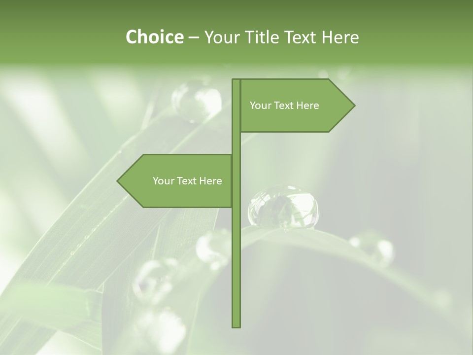 Summer Sphere Freshness PowerPoint Template