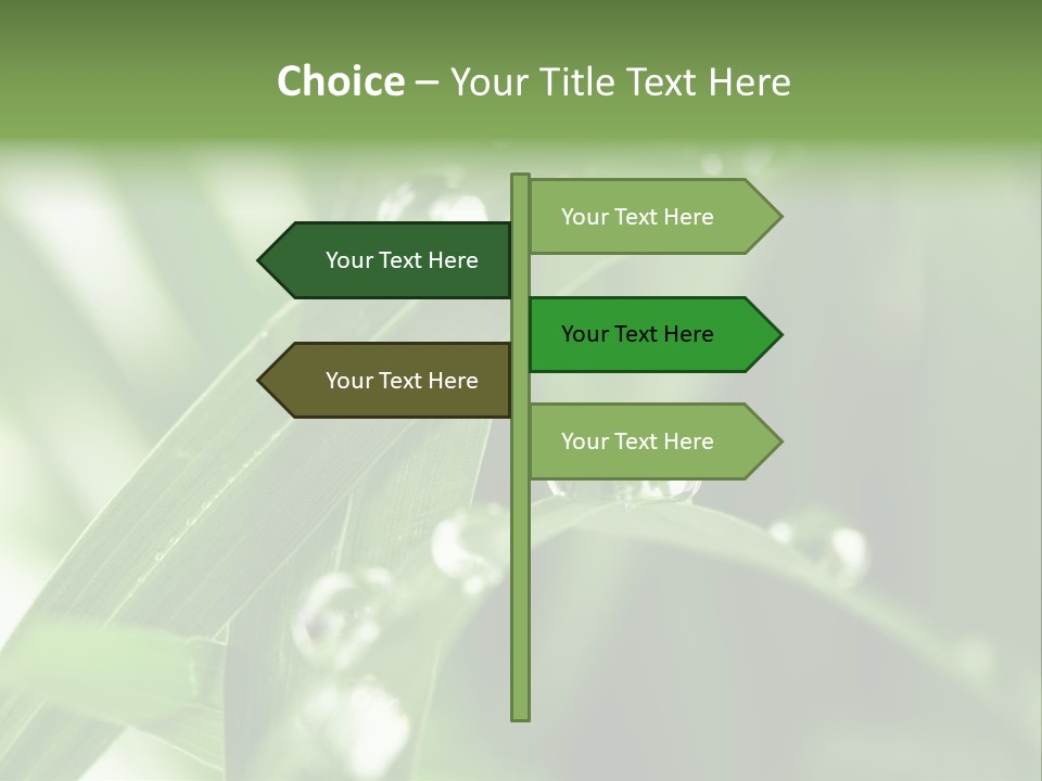 Summer Sphere Freshness PowerPoint Template