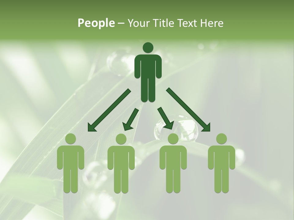 Summer Sphere Freshness PowerPoint Template