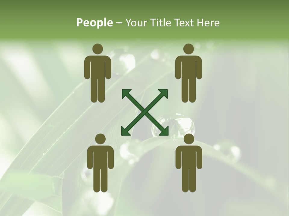 Summer Sphere Freshness PowerPoint Template